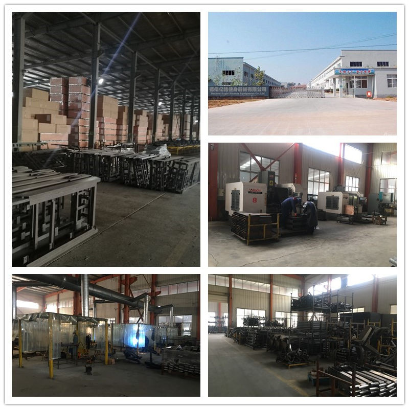 Dezhou Factory Precor Gym Fitness Equipment for Vertical Row