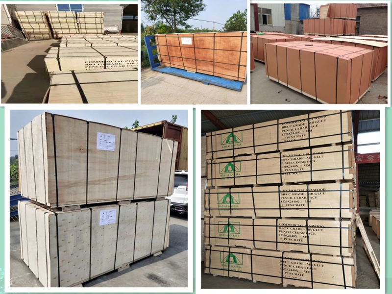 Plywood Sheet Commercial/Malaysia Commercial Plywood