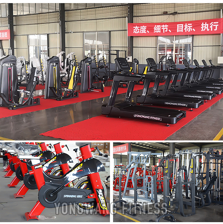 Wholesale Price Gym Equipment Training Gym Abdominal Isolator