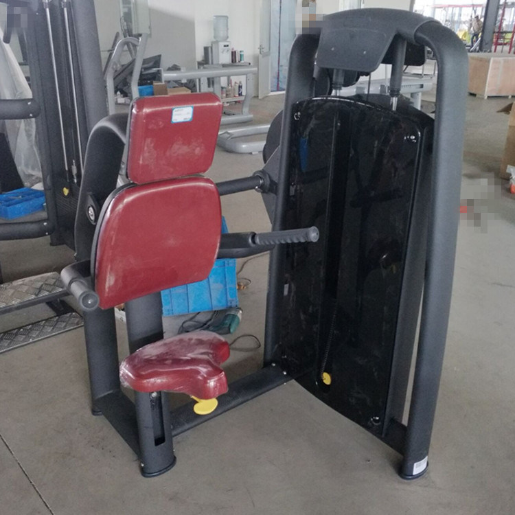 Tz-6050 Triceps DIP Gym Fitness/Wholsale Gym Triceps Exercise Machine/Strength Machine