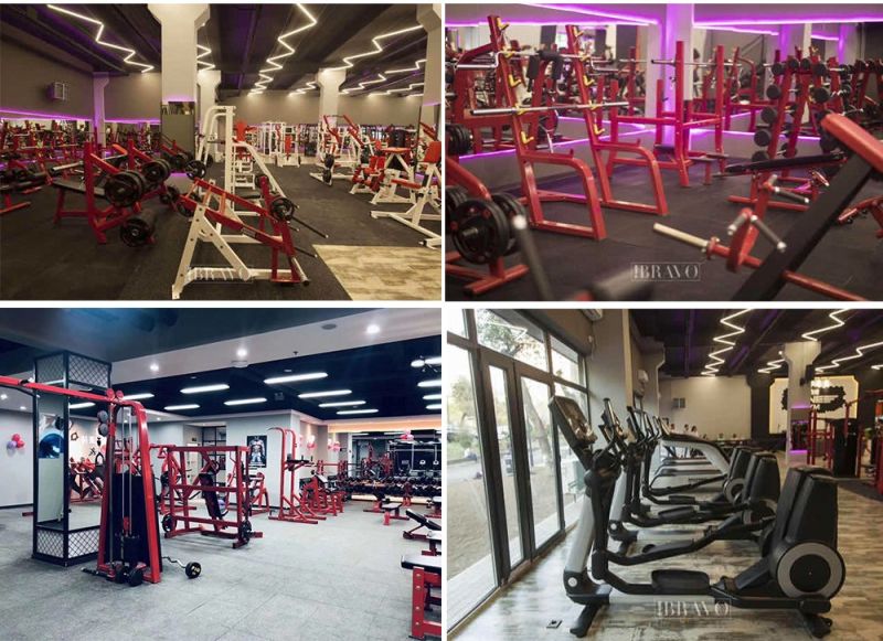 Factory Selling Black Gym Use /Home Use Vertical Row