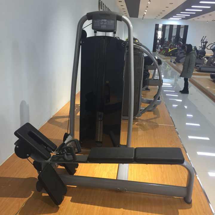 Professional Gym Equipment Low Row for Fitness Machine