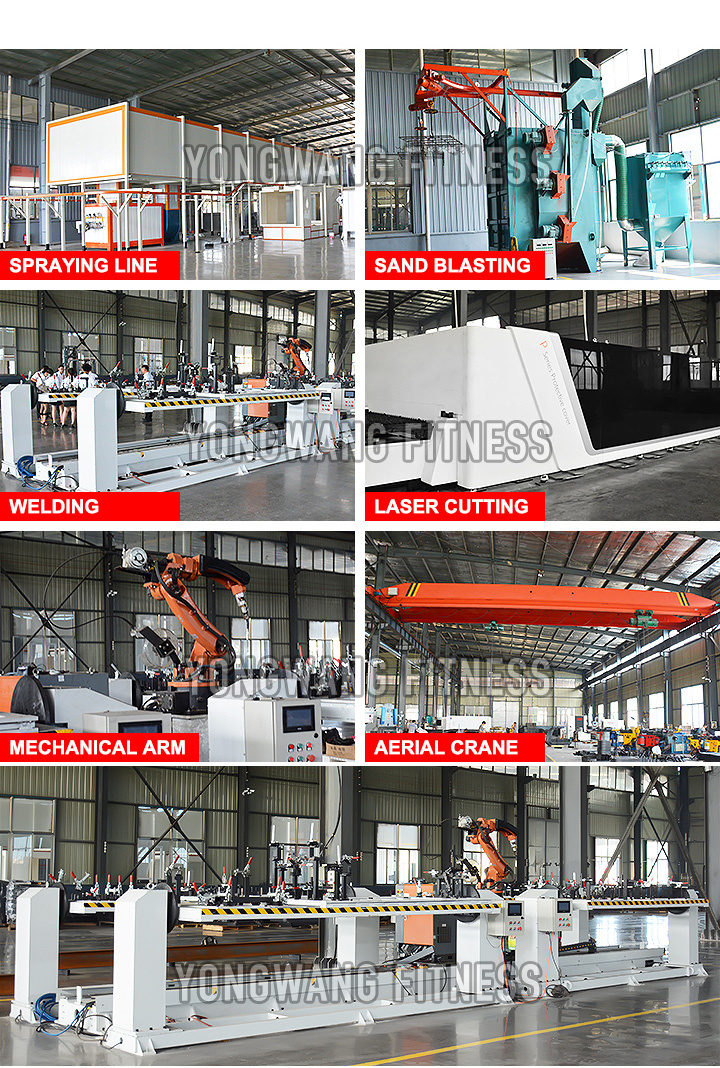 China Supplier Training Equipment Gym Vertical Row