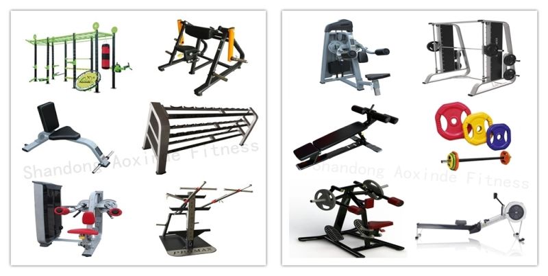 Exercise Fitness Machine Commercial Fitness Equipment Row for Gym (AXD-M1004)