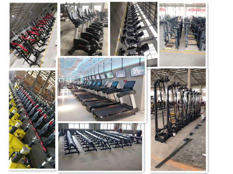 Tb08 Sports Equipment Gym Equipment Fitness Equipment Vertical Press with SGS Certificate