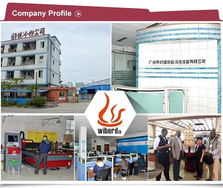 China Commercial Professional Electric Commercial Pastry Proofer