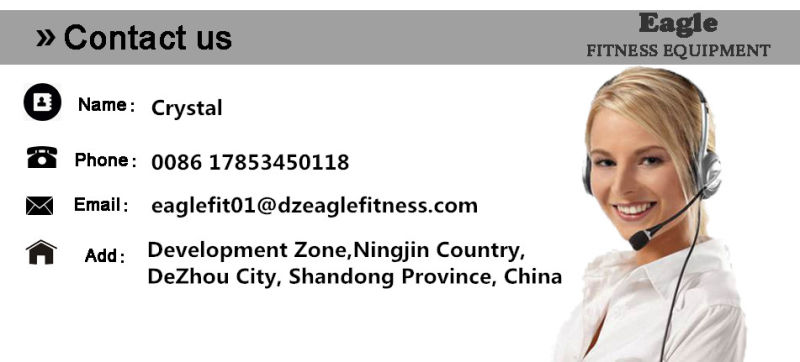 Leg Curl /Commercial Training Equipment/Sports Equipment /Gym Exercise Machine