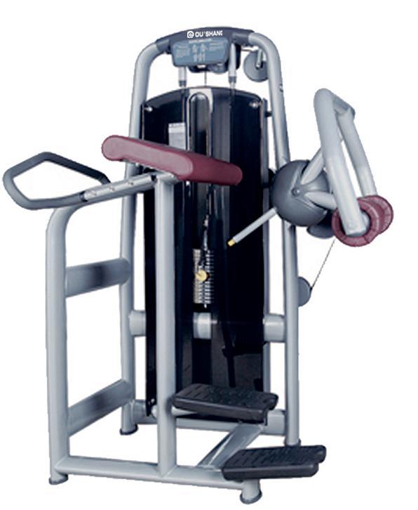 Gym Equipment Hot Sale Exercise Machine Glute Sm-8018