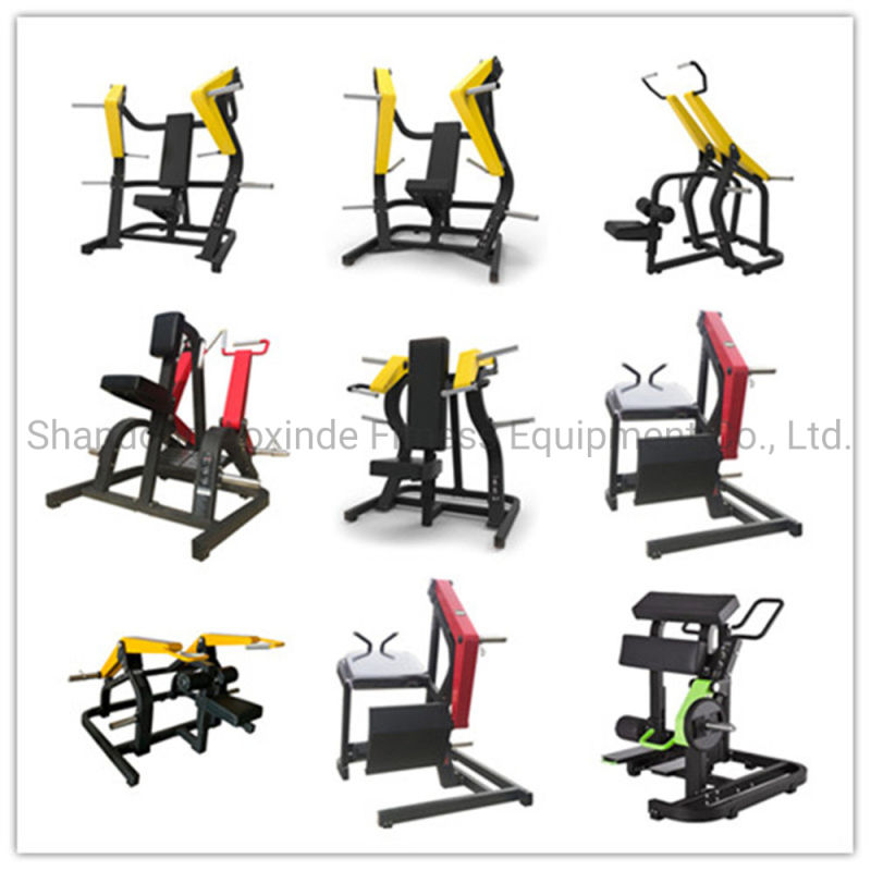 Hot Sell Gym Equipment Bodybuilding Low Row (AXD-725)