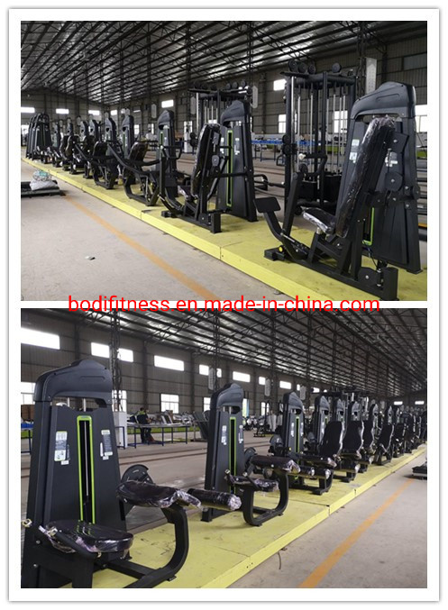 Professional Custom Logo Gimnasio Musculation Workout Equipment Gym Fitness Machine Pully Low Row