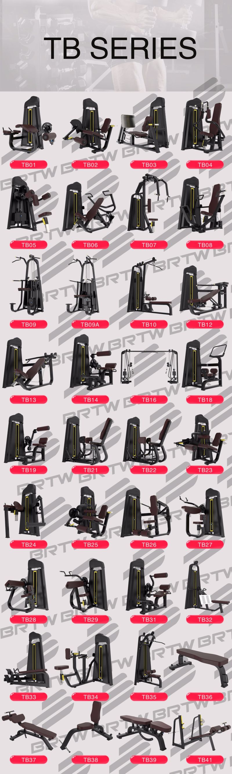 Commercial Use Gym Wholesaler Gym Sports Machine Chest Exercise Equipment