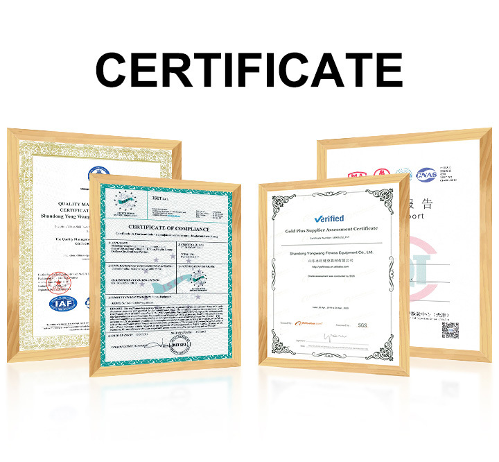 Gym Equipments Horizontal Leg Curl /Commercial Fitness Equipment Horizontal Leg Curl