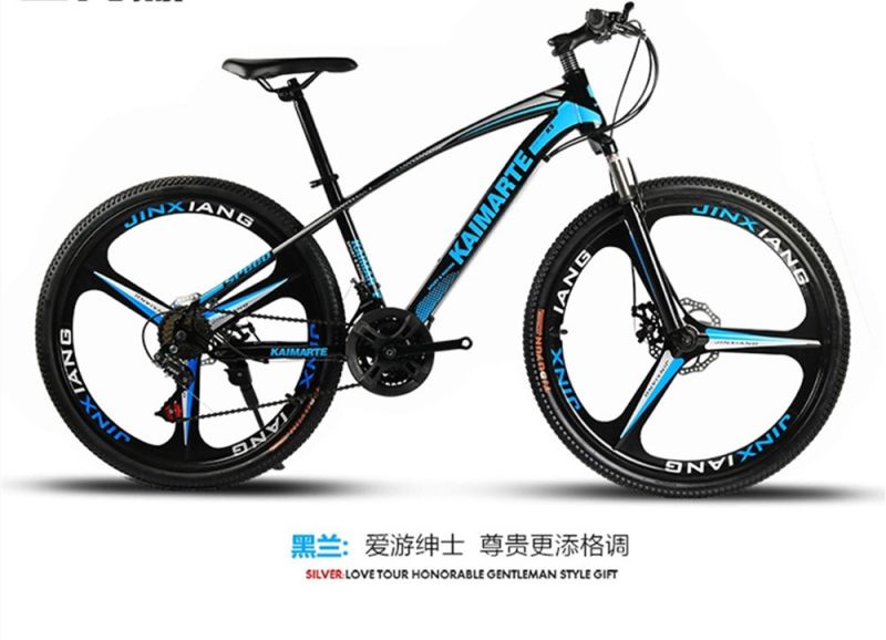 New Style Sport Cheap Mountain Bicycle Bike