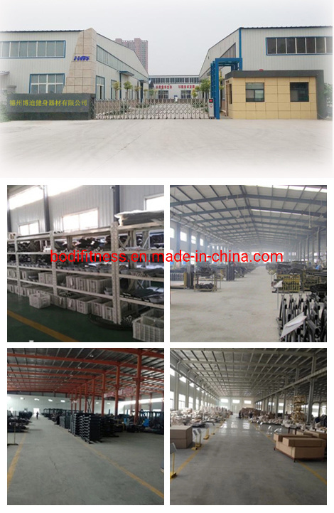 Commercial Gymnasium Equipment Fitness Vertical Row