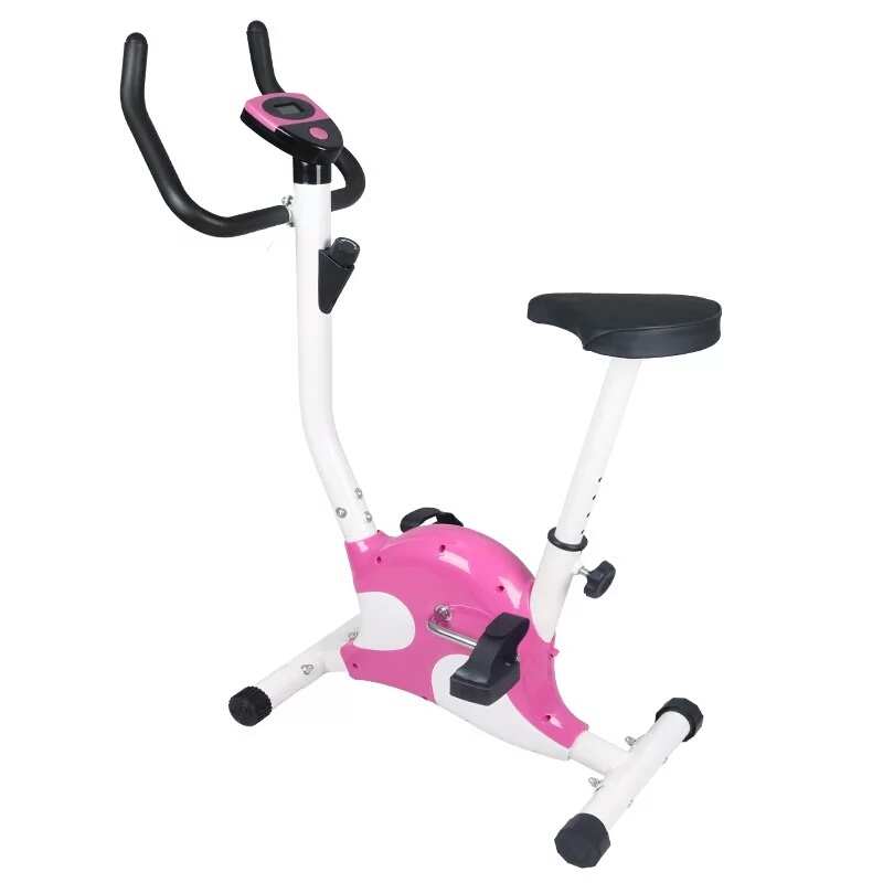 Slimming Exercise Home Exercise Equipment Indoor Professional Gym Spinning Bike