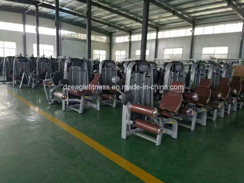 Functional Trainer/ Multi Gym Equipment/Commercial Fitness Equipment
