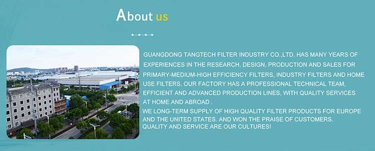 Professional Air Filter Manufacturer Honeycomb Activated Carbon Air Purifier HEPA Filter
