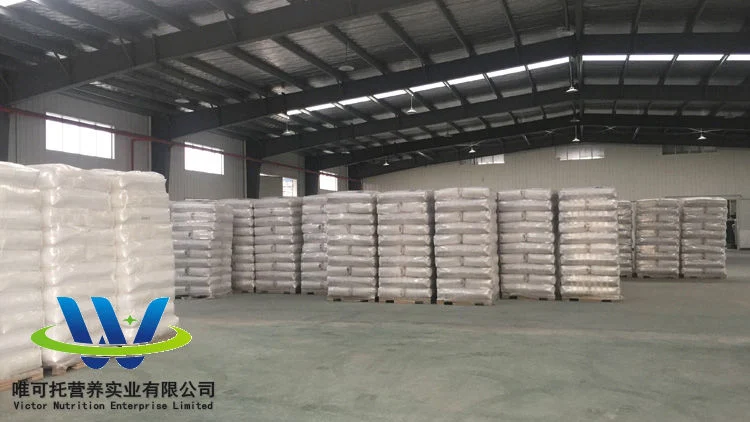 Food Additives Preservatives Sodium Benzoate with Low Price