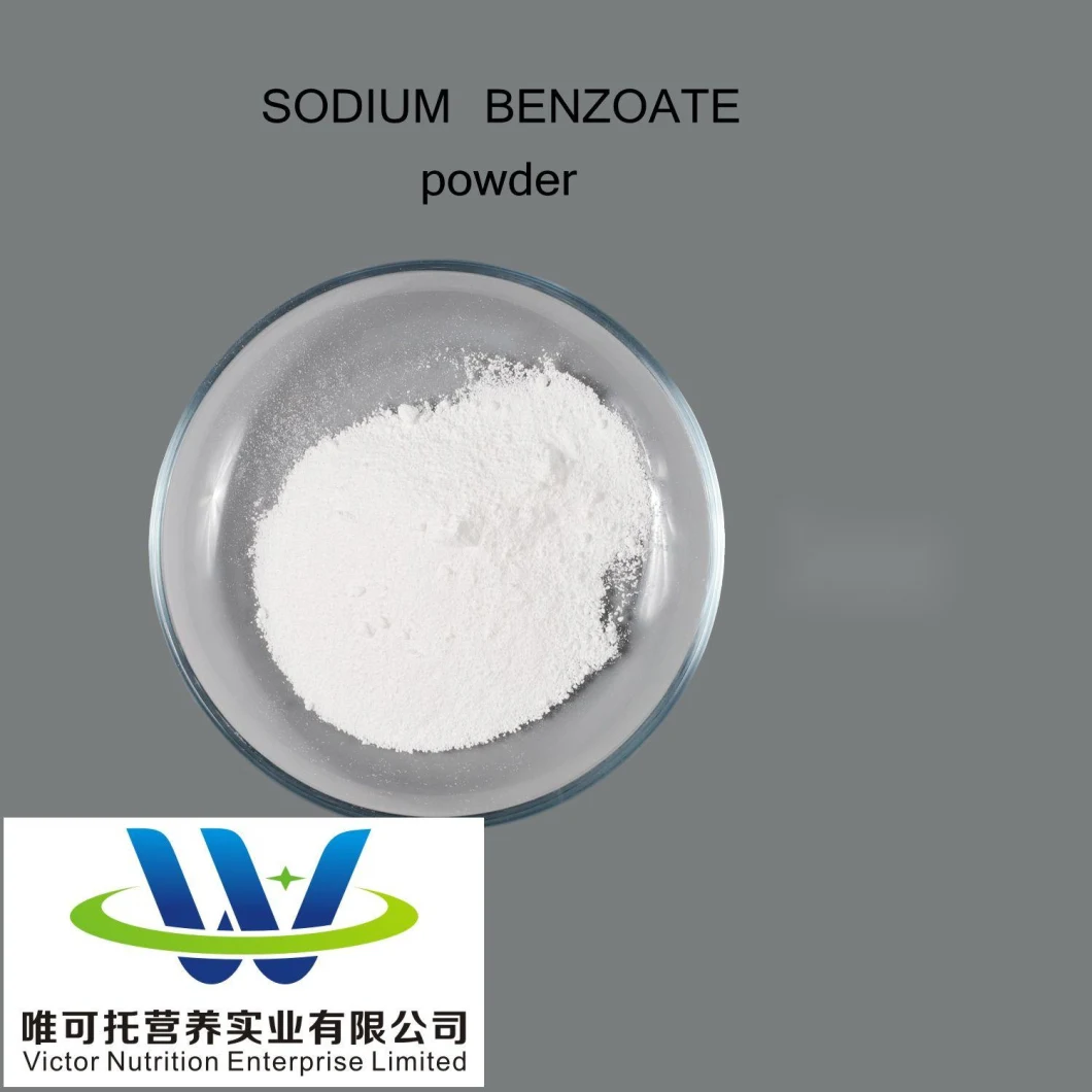 Food Additives Preservatives Sodium Benzoate with Low Price