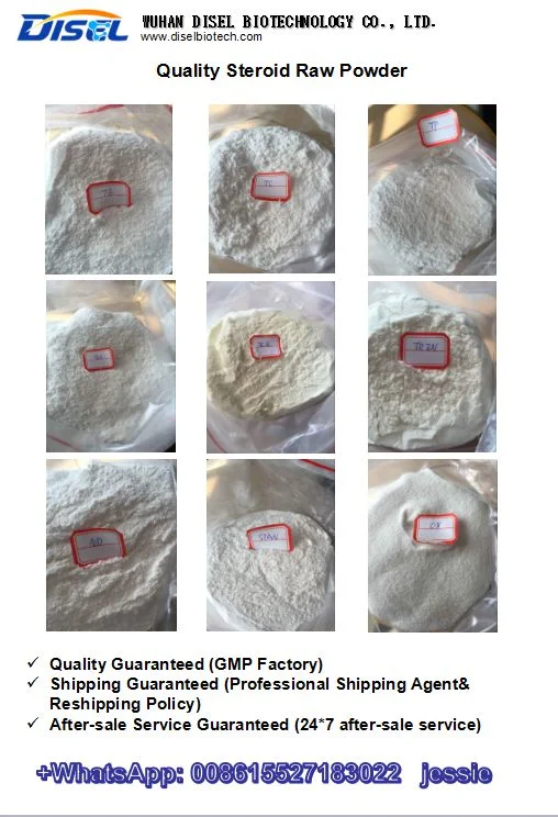 High Quality Competitive Price D-Calcium Pantothenate CAS 137-08-6