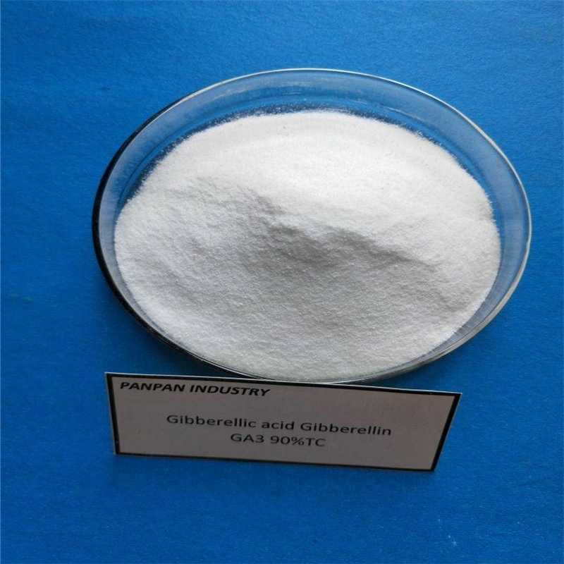 Plant Hormone Gibberellin Gibberellic Acid Ga3 90%Tc for Seed Germination Uses