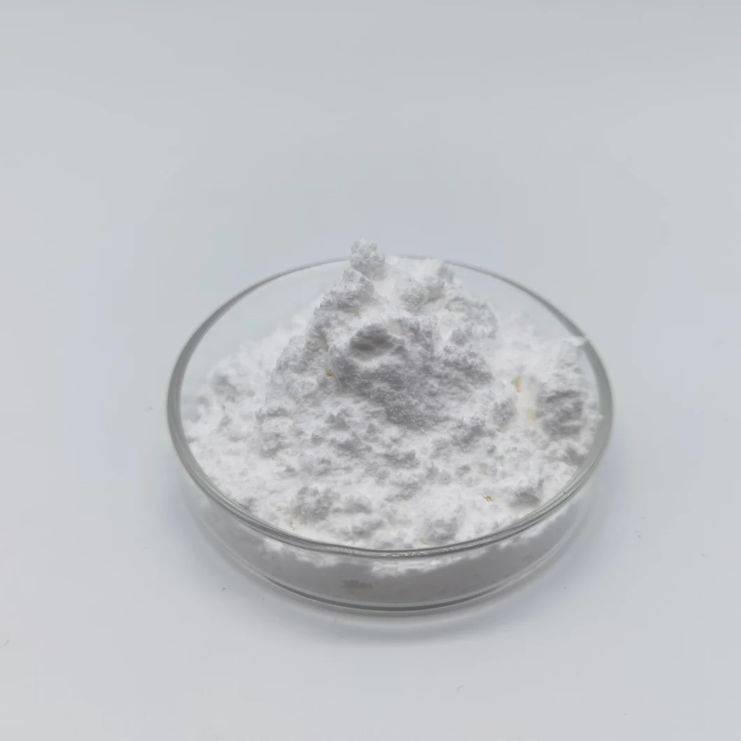 CAS 58-85-5 Best Quality Biotin Powder in Bulk