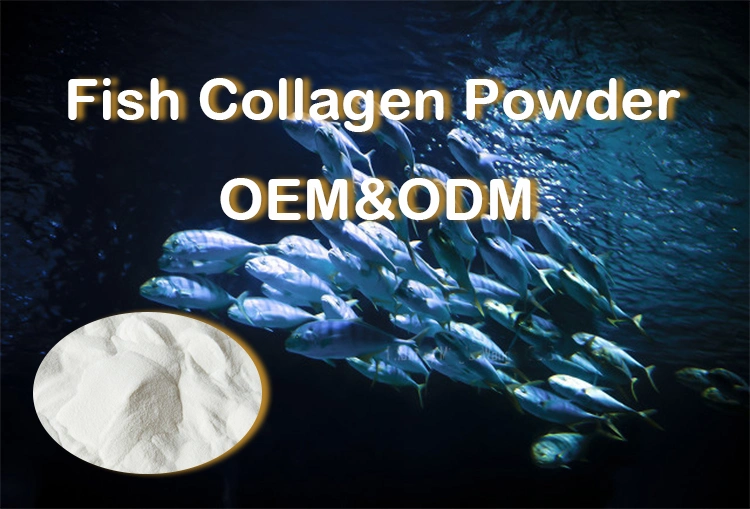Wholesale Best Price Pure Krill Powder Peptide Hydrolyzed Marine Collagen Protein Fish Powder Peptide