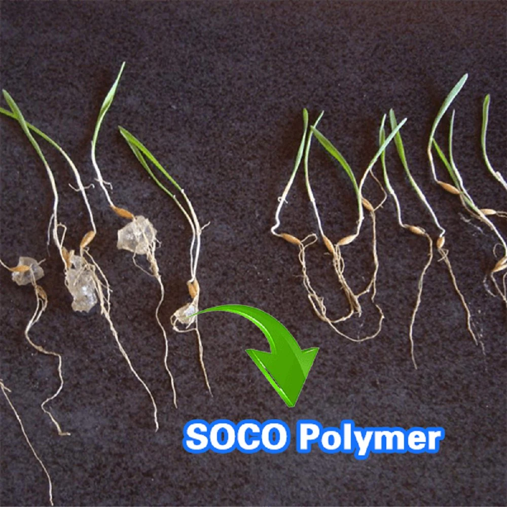 Potassium Based Acrylic Polymer Super Absorbent Polymer Sap K Could Enrich Soil