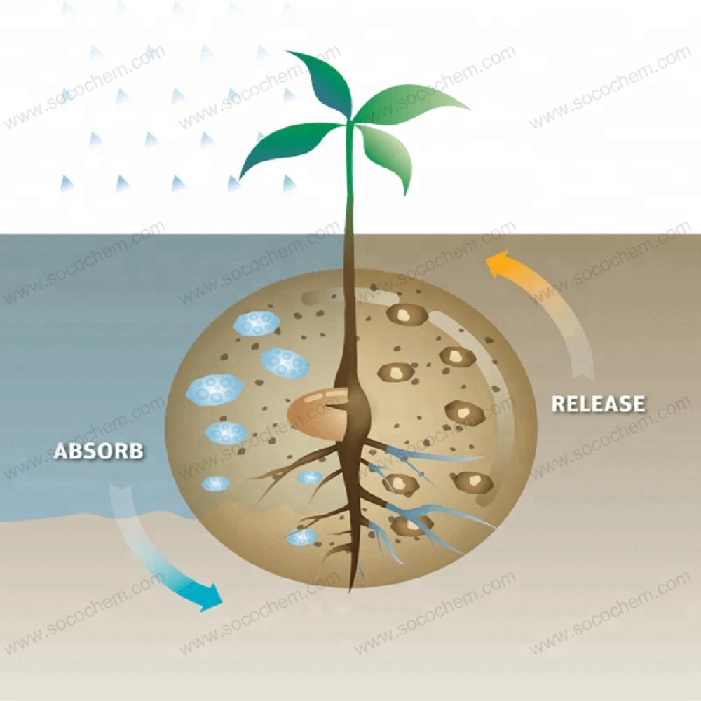 Potassium Based Acrylic Polymer Super Absorbent Polymer Sap K Could Enrich Soil