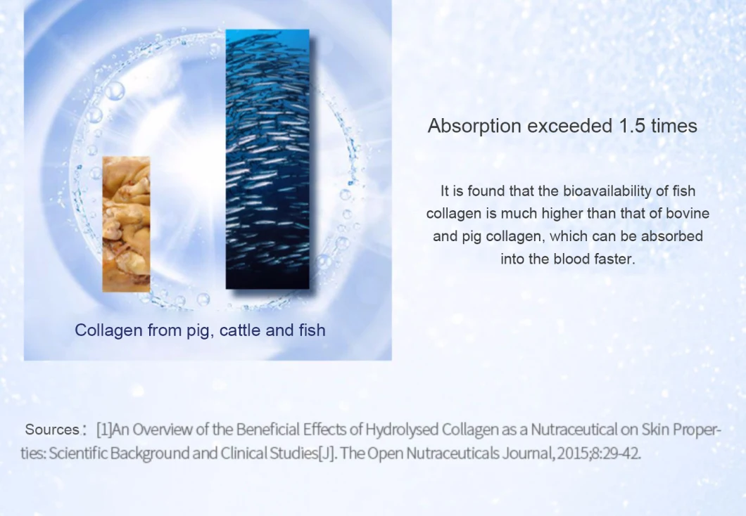 Factory Supply Pure Fish Collagen Powder/Hydrolyzed Collagen/Collagen Peptide