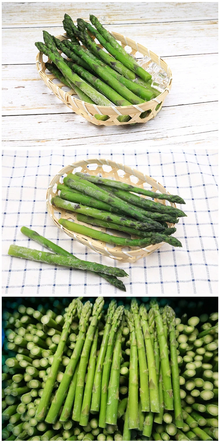 Frozen Dry Hydrolyzed Fresh Canned Vegetable Asparagus