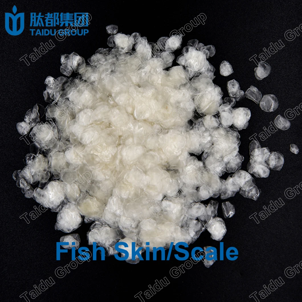 Pure Fish Marine Collagen Powder Wholesale, Hydrolyzed Fish Marine Collagen Peptide Powder