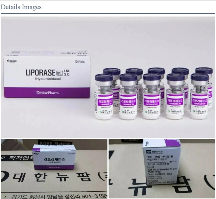 Factory Supply Liporase Lyophilized Hyaluronic Acid Lyase Powder Dissolve Hyaluronic Acid Filler Hyaluronidase