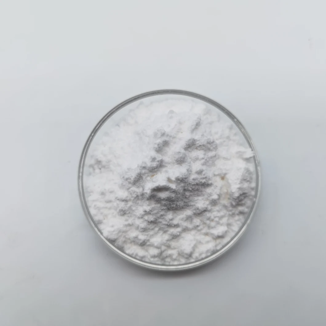 CAS 58-85-5 Best Quality Biotin Powder in Bulk