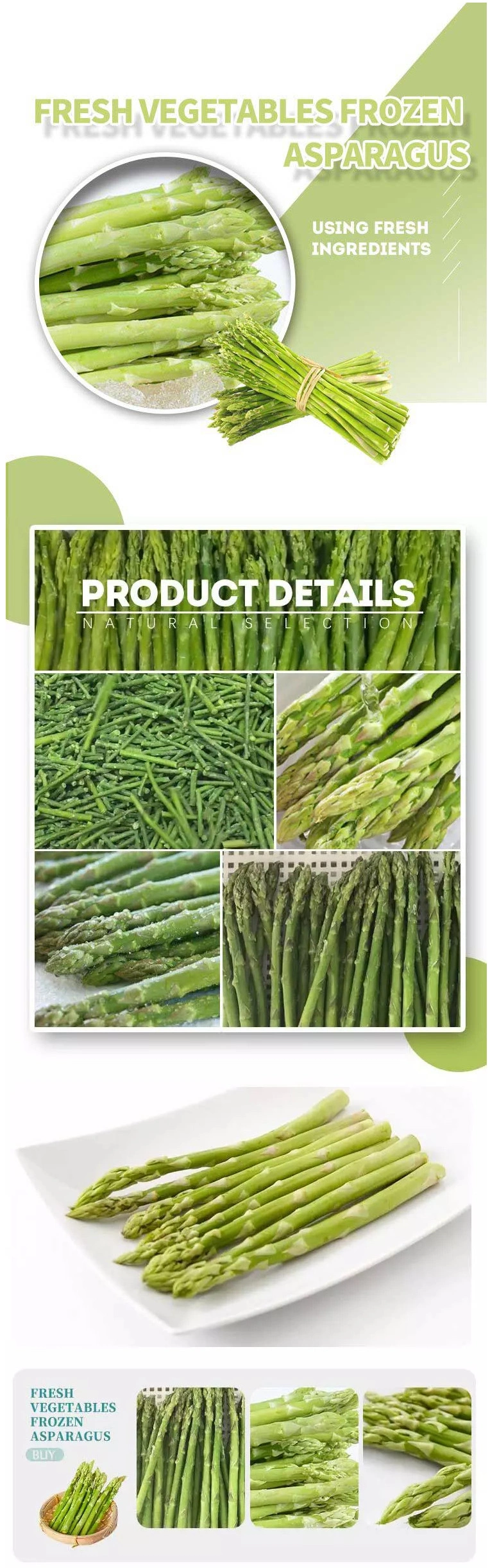 Frozen Dry Hydrolyzed Fresh Canned Vegetable Asparagus