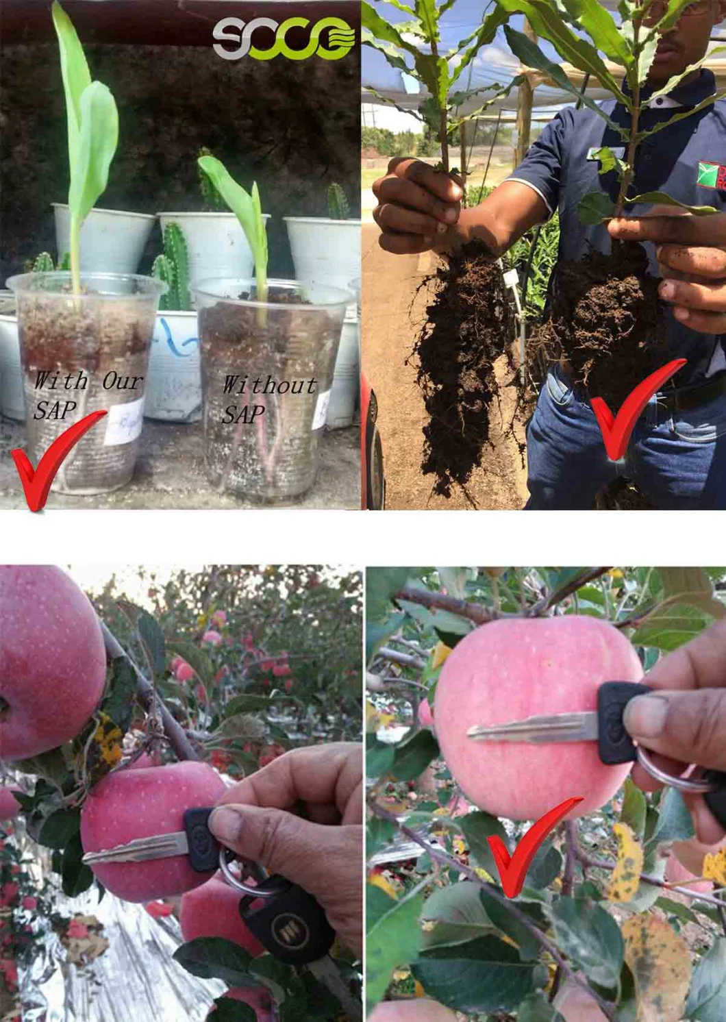 Potassium Based Acrylic Polymer Super Absorbent Polymer Sap K Could Enrich Soil