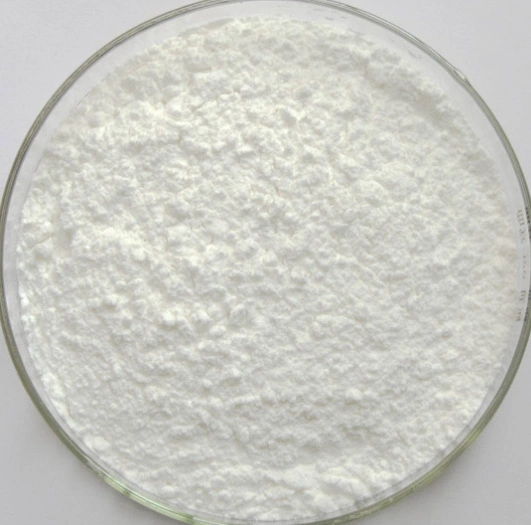 High Quality Calcium Pantothenate Vitamin B5 CAS: 137-08-6 with Best Price