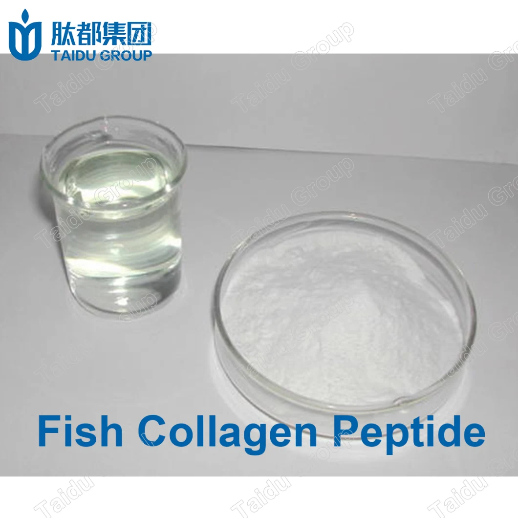 Hydrolyzed Pure Marine Fish Collagen Peptide Powder Hydrolyzed Collagen Powder