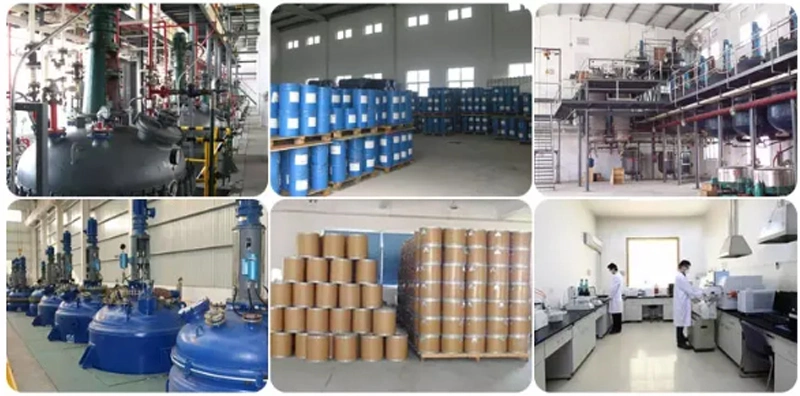 Chinese Suppliers 940/Poly (acrylic acid) CAS: 9003-01-4
