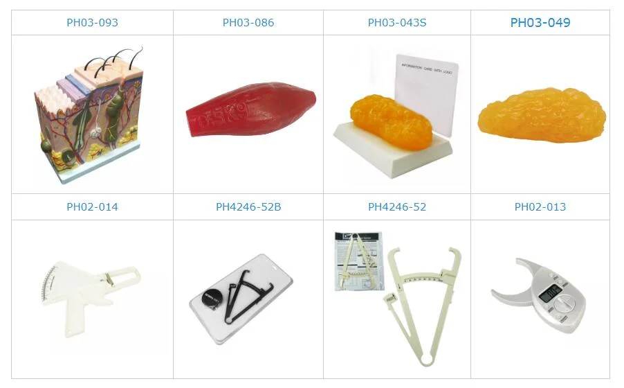 Advanced Intrauterine Device Educational Model IUD Training Model