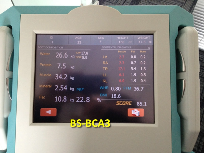 Human Body Composition Analysis Machine, Bca Body Composition Analysis Machine (BS-BCA3)