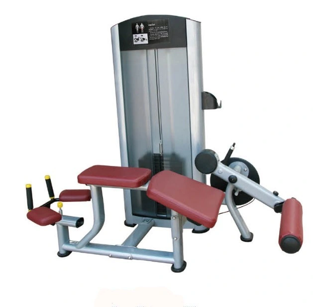 China Manufacturer Gym Equipment Chest Press/Fitness Equipment Prone Leg Curl for Gym