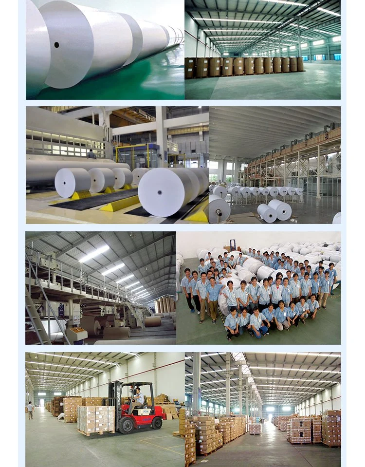 Factory Supply Inkjet High Glossy RC Photo Paper Fast Dry Waterproof Inkjet Printing Paper