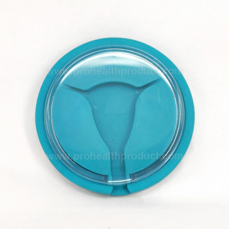 Advanced Intrauterine Device Educational Model IUD Training Model