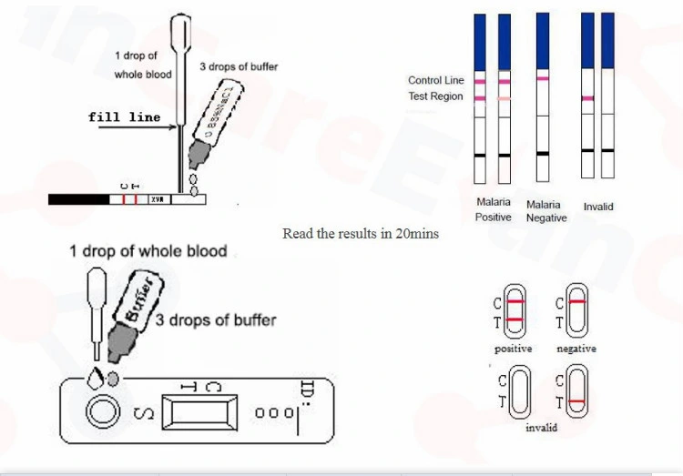 Rapid Fob Test Fob Test Strip 1 Step Rapid Fob Test Strip Device with CE Marked