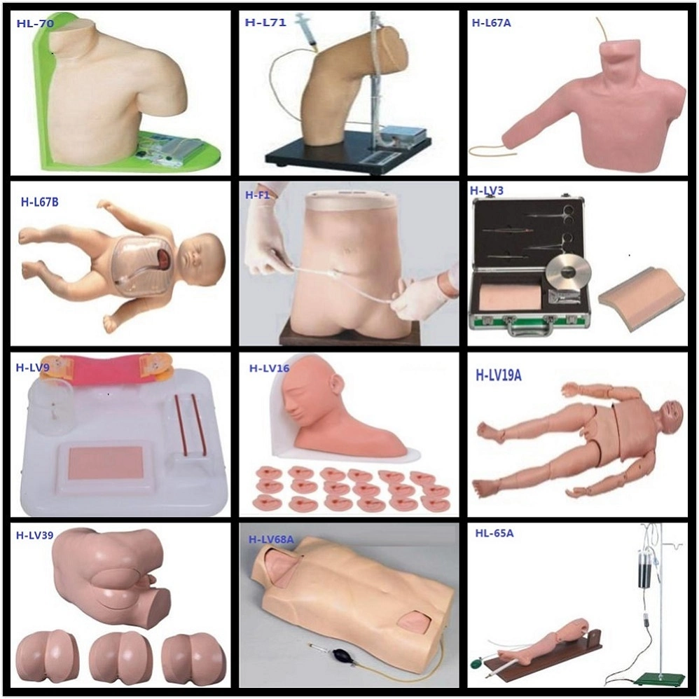 China Medical Hospital Training Equipment H-Acls850 Medical Dummy Nursing Training Manikin / Mannequin