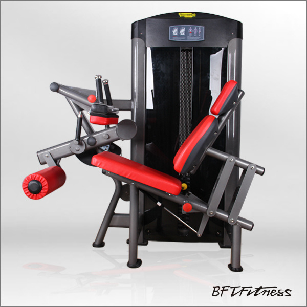 Gym Equipment Manufacturer/ Life Fitness Gym Equipment/ Life Fitness Machines for Sale (BFT-3009)