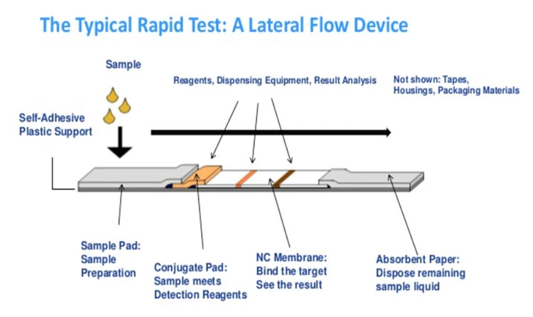 Fast Test Kit Strip, Colloidal Gold Test Antibody Test Strip One Step Rapid Test Kit