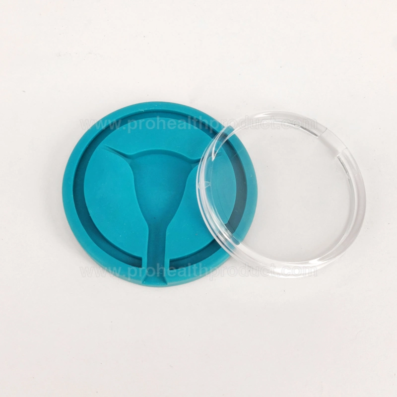 Advanced Intrauterine Device Educational Model IUD Training Model