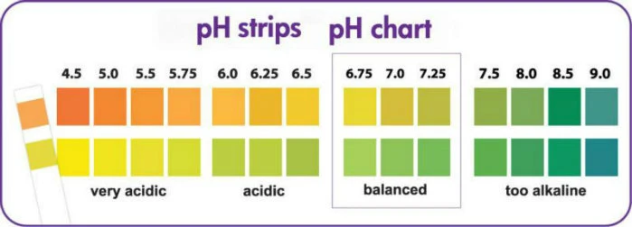 Transparent Box pH Test Paper pH Saliva & Urine Test Strip 4.5-9.0 /Chinese Factory